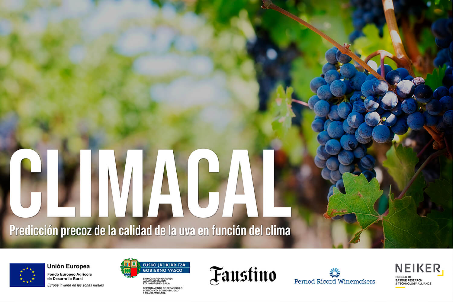 Predicción precoz de la calidad de la uva