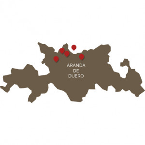 grupo.fausitno.historia.1996